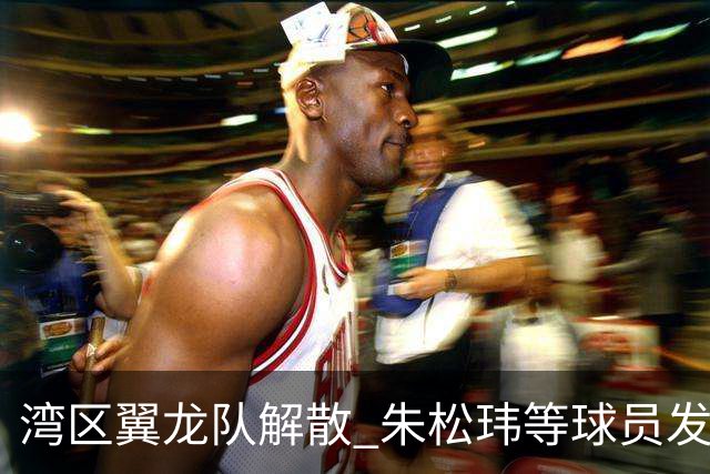 湾区翼龙队解散 朱松玮等球员发布声明维权