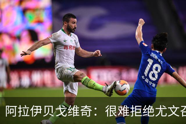 阿拉伊贝戈维奇：很难拒绝尤文召唤，迫不及待在意甲迎接新的挑战